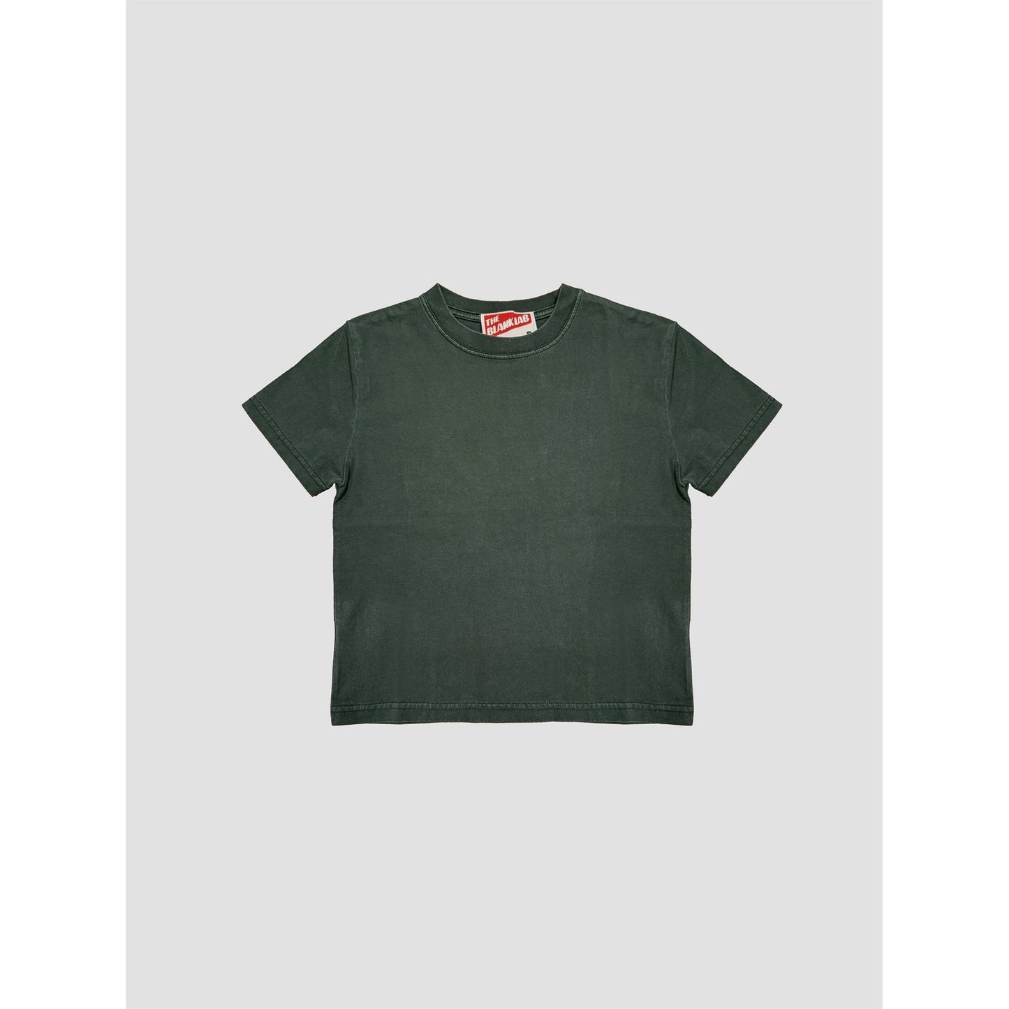 Mineral Washed Cotton Blank Cropped Tee