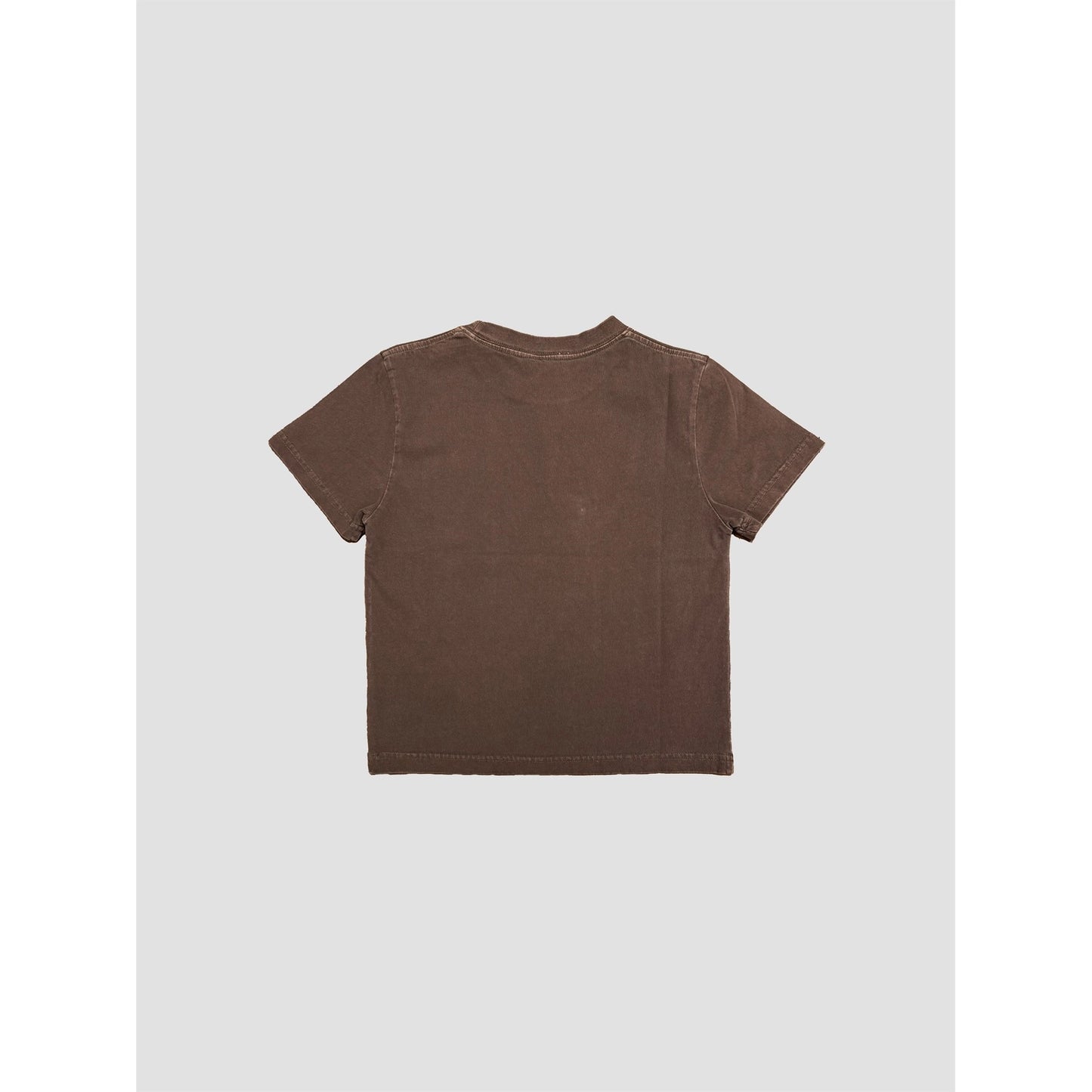 Mineral Washed Cotton Blank Cropped Tee