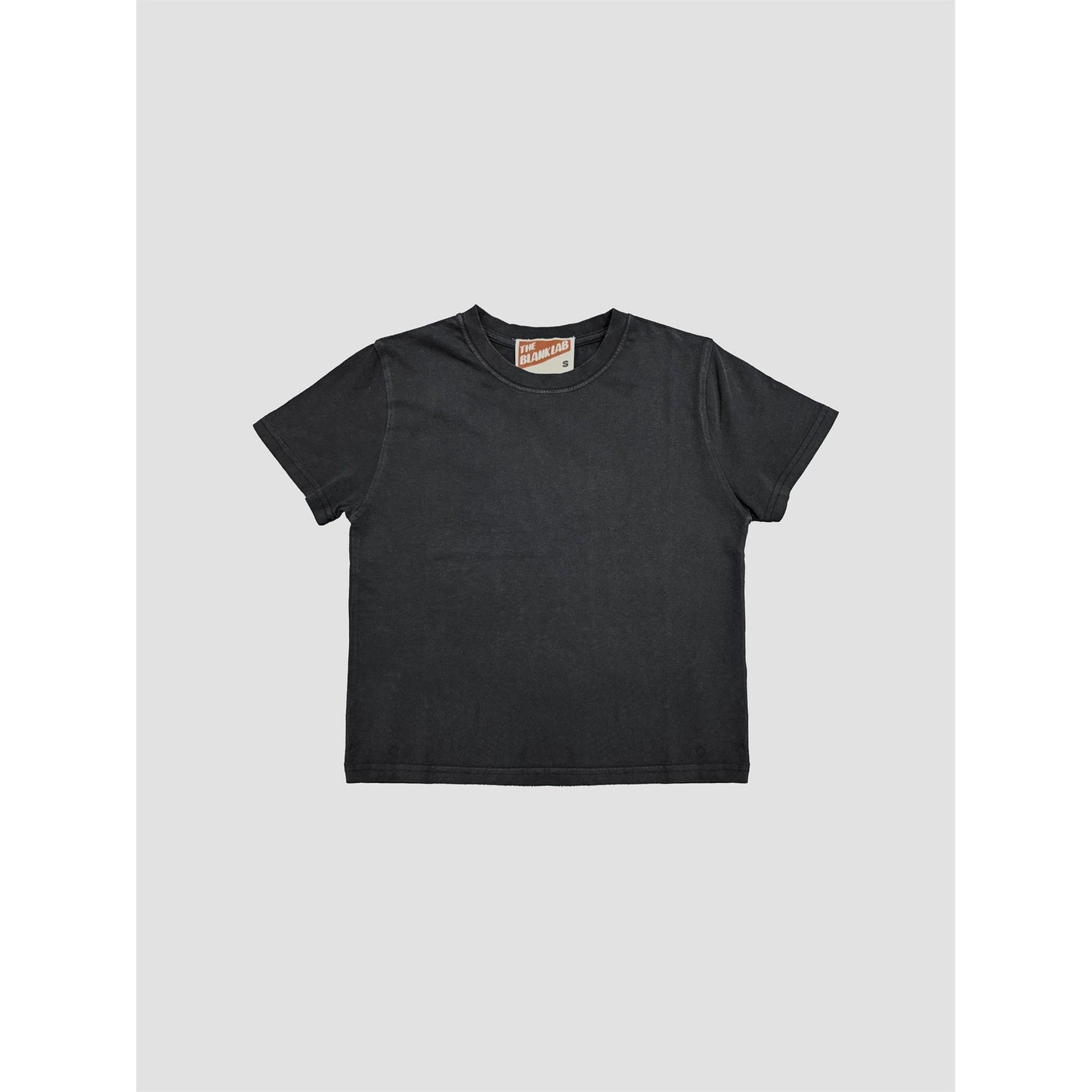Mineral Washed Cotton Blank Cropped Tee