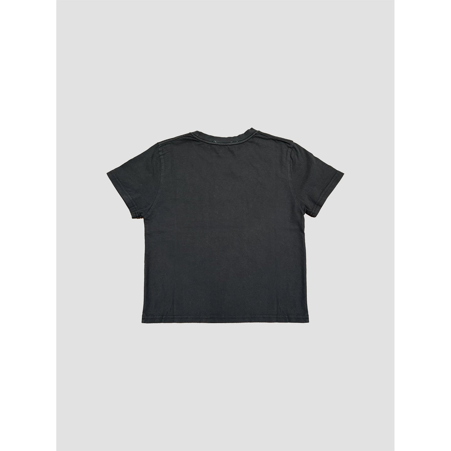 Mineral Washed Cotton Blank Cropped Tee