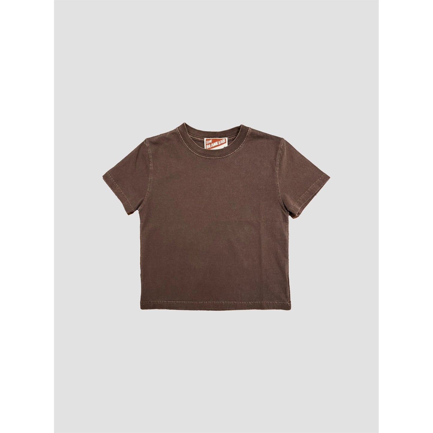 Mineral Washed Cotton Blank Cropped Tee
