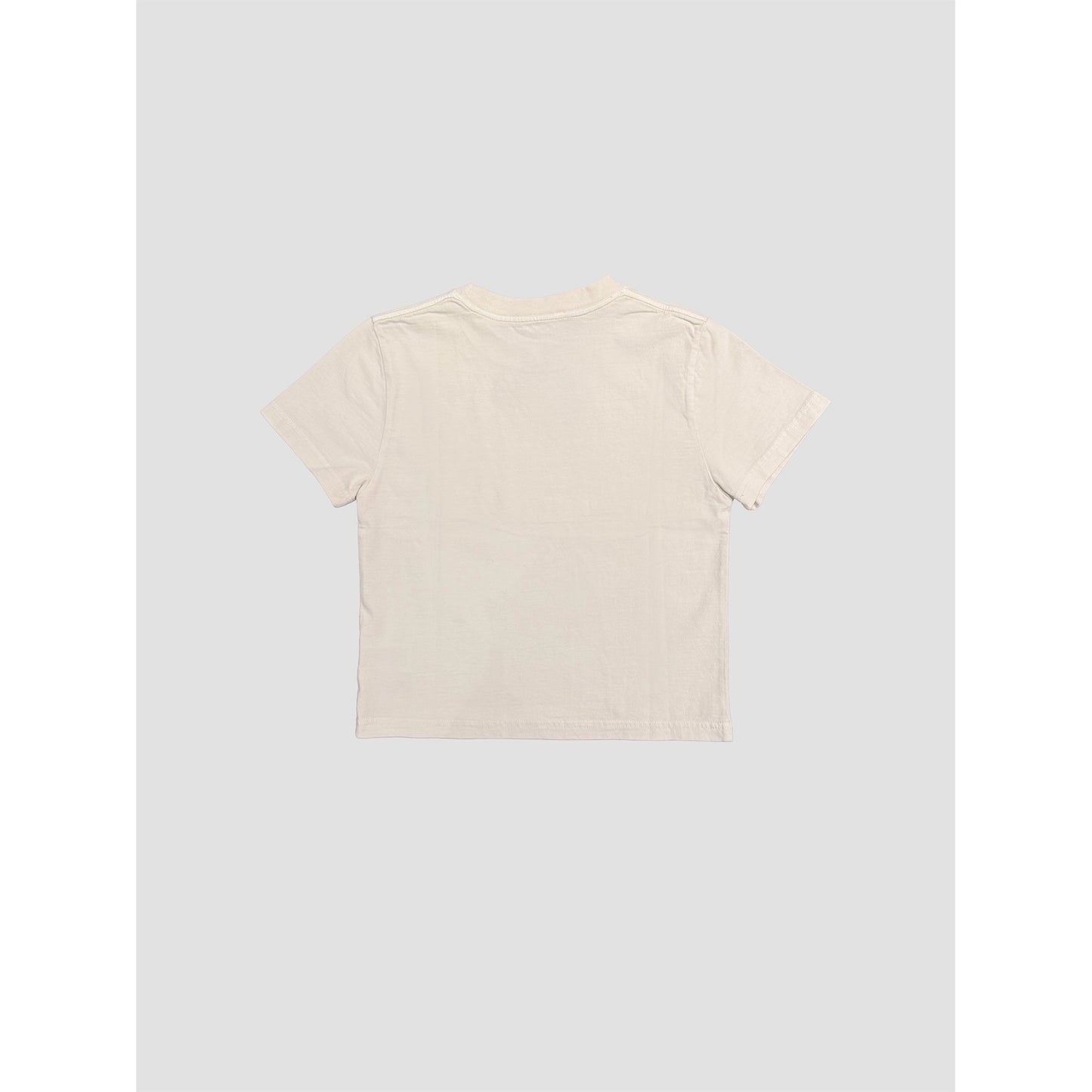 Mineral Washed Cotton Blank Cropped Tee