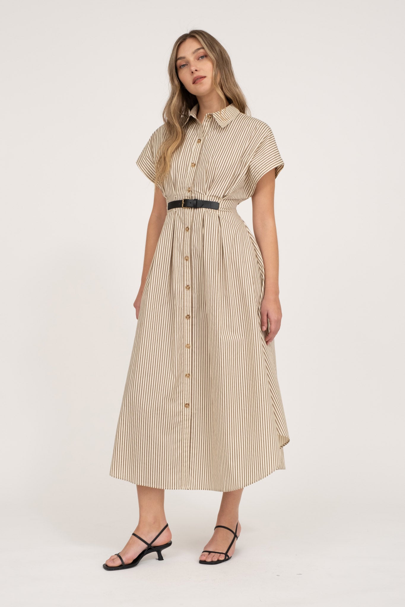 Stripe Button Down Belted Dress