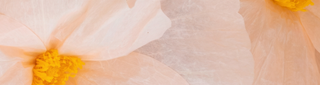 What's New (test)