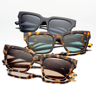 Hayden Sunglasses