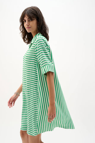 Woven Stripe Trapeze Dress