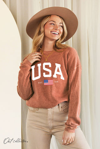 USA Sweatshirt