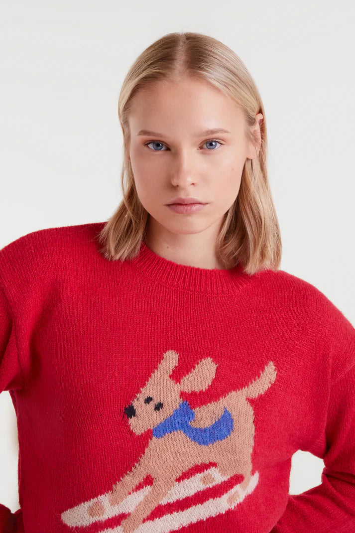 Skiing Dog Sweater