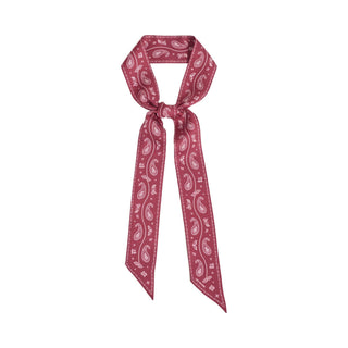 Paisley Silk Skinny Scarf