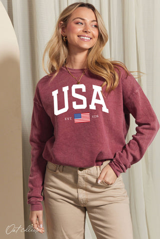 USA Sweatshirt