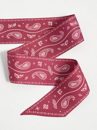 Paisley Silk Skinny Scarf