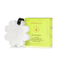 Coconut Verbena (Lime Green)