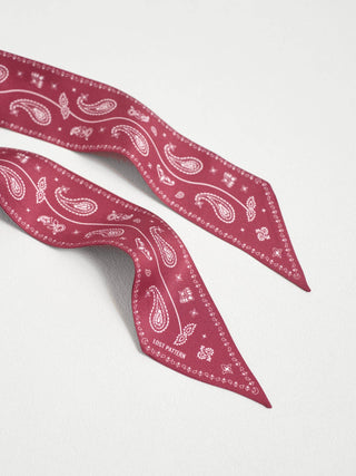 Paisley Silk Skinny Scarf