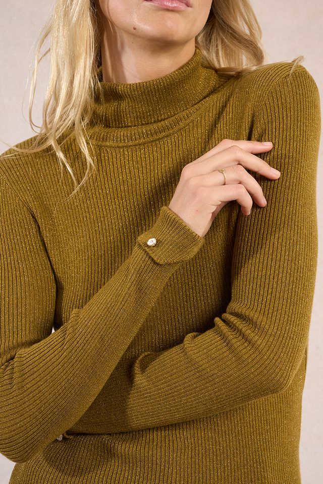 Iridescent Ribbed Knit Turtle Neck